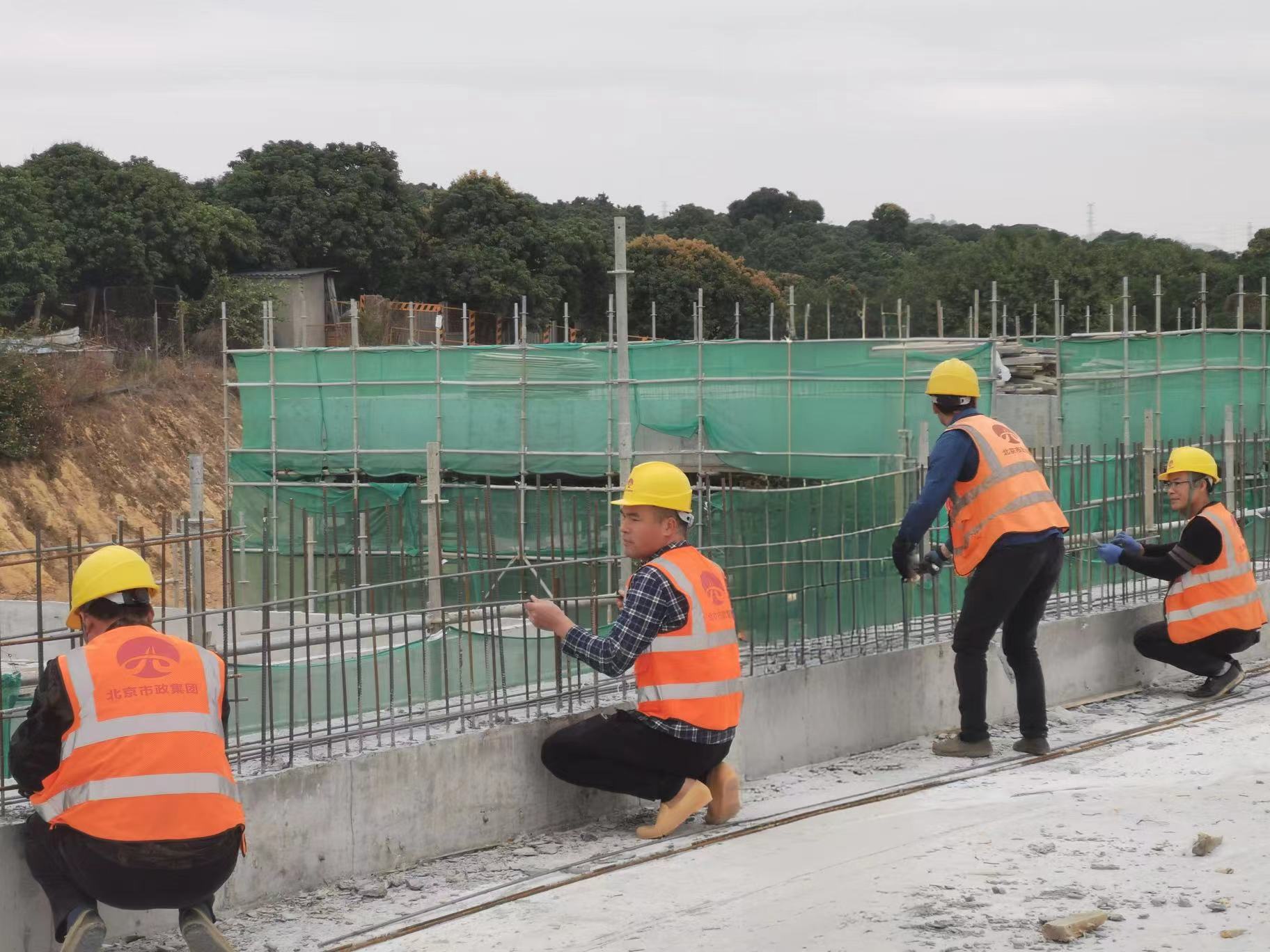 d862cc80fad055d3c54ea1d02a736650_.jpg d862cc80fad055d3c54ea1d02a736650_.jpg