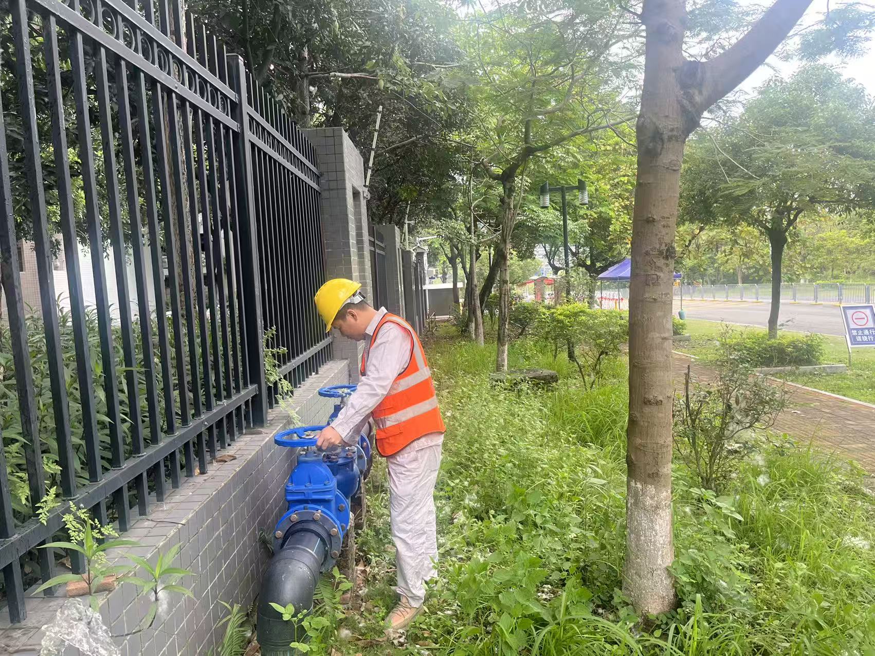 mmexport1749032015201.jpg mmexport1749032015201.jpg